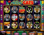 Alley Cats Video Slot
